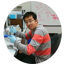 The Zhu lab studies the moon/tide-related 12h ultradian clock; xbp1, proteostasis, epigenetic, metabolism, aging, stress response are the key words. @AgingPitt