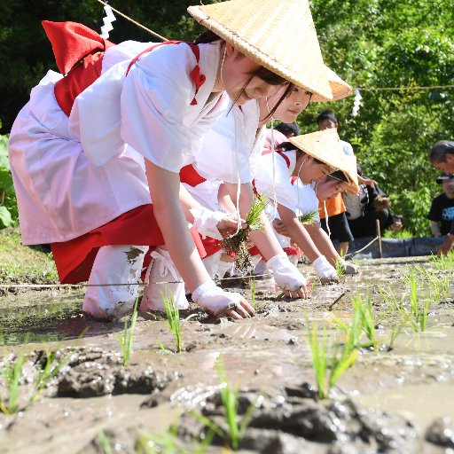 真田の里に鎮まる歴代上田藩主崇敬の社。
日本百名山「四阿山」水の神。
祭礼や文化財を将来へつなぐことに不安が広がる地域に、逆に祭事を復興し１０年先に育つ種をまきまき中。
⛰御朱印記帳は宮司のみ⛰
⛰15:00〜17:00出現率UP⛰
Instagramｽﾄｰﾘｰｽﾞでお知らせ投稿※挫折中…