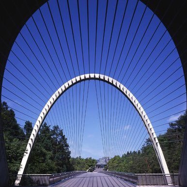 ONuKvjiiZJbxS6h's profile picture. 