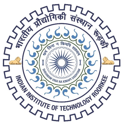 Director, IIT Roorkee