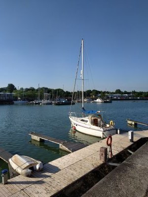 bainies's profile picture. 