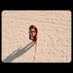 An H (@anyprinces) Twitter profile photo An H (@anyprinces) Twitter profile photo