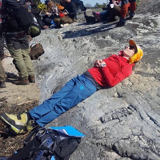 PhD student @UU_University, and @CNDS_Sweden, studying volcanic plumbing systems and hazard communication. Rock climber, tea-drinker, cat video fanatic. She/her