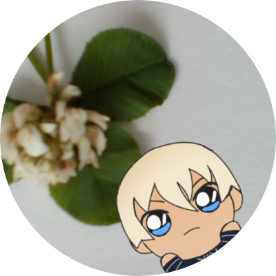 Sirotsumekusa Cloversirotsum1 Twitter Sirotsumekusa Cloversirotsum1 Twitter