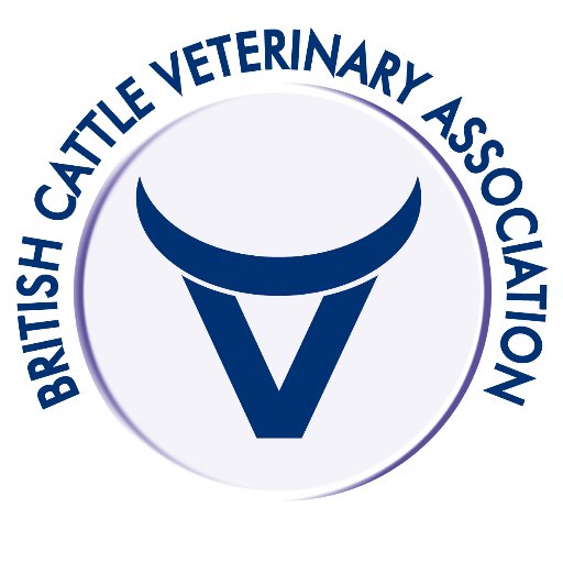 The British Cattle Veterinary Association, supporting and representing livestock veterinary professionals, safeguarding the wellbeing of cattle.