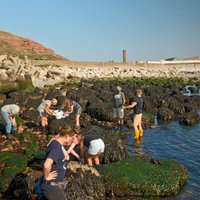 AWI Schülerlabor OPENSEA (@opensea_awi) Twitter profile photo