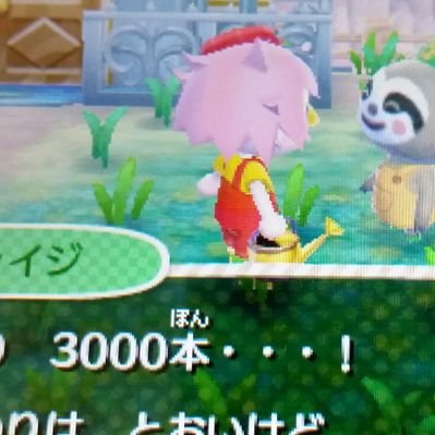 コスモス あつ森 ゲーム垢 در توییتر 村が増えたので個ツイ ソパカ 変更 主婦なので主に日中にプレイ中 通信やおしゃべりなど出来る方と仲良く出来るといいなあ 複数の村の村長です 改造 バグ利用 ソパカのテンプレお借りしました とび森 とびだせどうぶつの森 とび