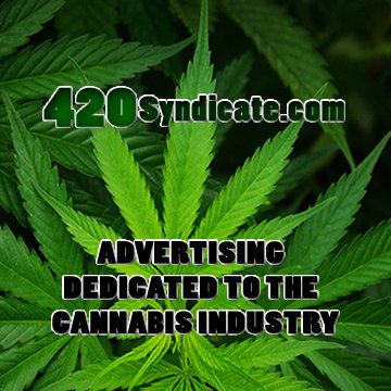420syndicate1's profile picture. ADVERTISING DEDICATED TO THE CANNABIS INDUSTRY