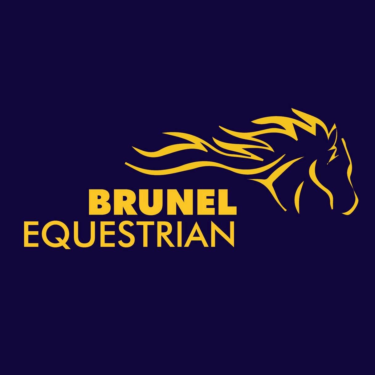 Discounted riding lessons for Brunel students. Beginners welcome. Based at Snowball Farm EC. Flatwork, jumping & hacking available.