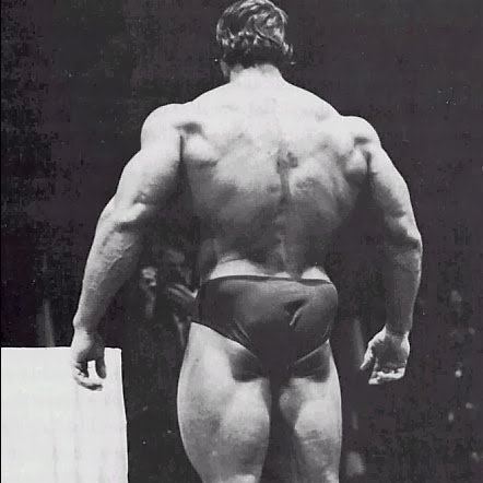 BernardGTR's profile picture. IT guy from 🇪🇺 I like crypto, Kanye West and bringing privacy back to people in the Internet