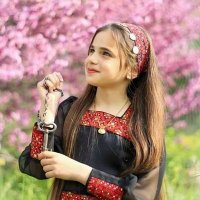 Reem (@reempalestine) 's Twitter Profile Photo Reem (@reempalestine) 's Twitter Profile Photo