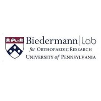 Biedermann Lab for Orthopaedic Research (@biedermannlab) 's Twitter Profile