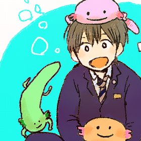 くろこさんのプロフィール画像