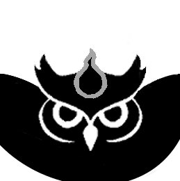S-Owl Profile