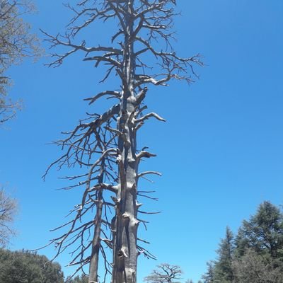 enolala38's profile picture. le bonheur des choses simples !