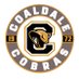 Coaldale Cobras (@cobrashockey) Twitter profile photo Coaldale Cobras (@cobrashockey) Twitter profile photo