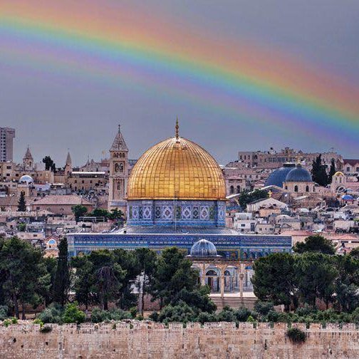 YahwehJave's profile picture. Administrador / Cristão