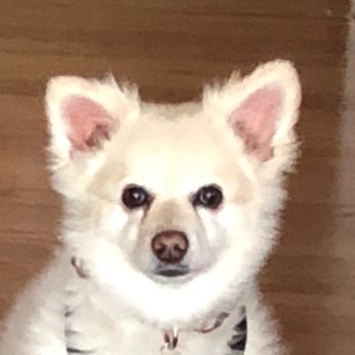 2ndFairchild's profile picture. 