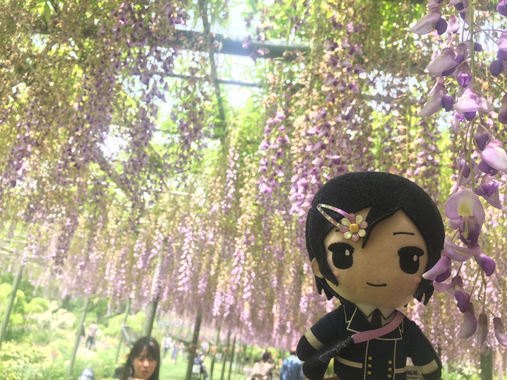 白れんさんのプロフィール画像