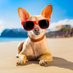 dog with sunglasses (@greekfella) Twitter profile photo dog with sunglasses (@greekfella) Twitter profile photo