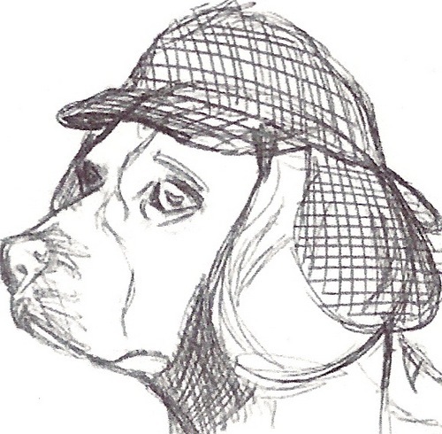 a_book_hound's profile picture. 