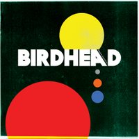 Birdhead (@birdheadmusic) 's Twitter Profile