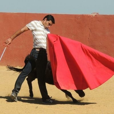 Albertobarreno8's profile picture. Amante del toro,el caballo,el campo y la tauromáquia!