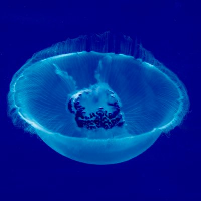 bergil14's profile picture. 