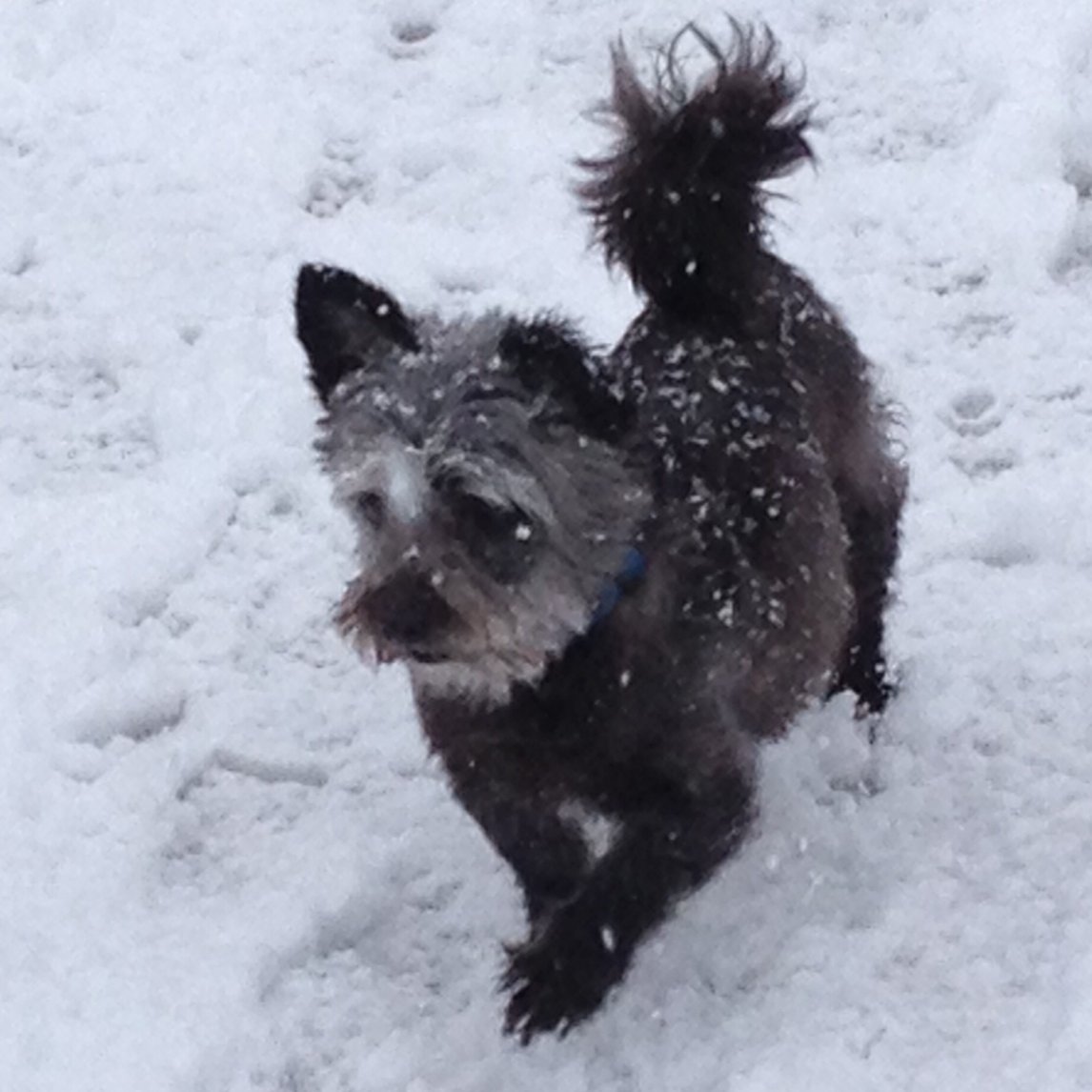 vanessamikel's profile picture. 