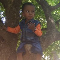 Patil Veerana Gouda (@patildvg) 's Twitter Profile