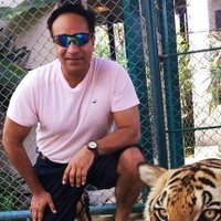 Tiger Mahal 🇮🇳🇺🇸🇨🇦(@ArvindMahal) 's Twitter Profile Photo