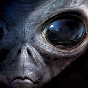 CrusaderLone's profile picture. “All that is necessary for the triumph of evil is that good men do nothing.” — The immortal advice of British statesman, Edmund Burke. #Area51
