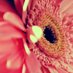 @manon_6060