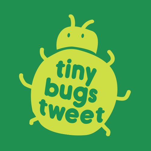 Tiny Bugs Tweet