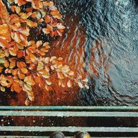 Suresh Mahala (@darksk2) 's Twitter Profile