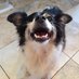 Lady Rompychomps (@rompychomps) Twitter profile photo Lady Rompychomps (@rompychomps) Twitter profile photo
