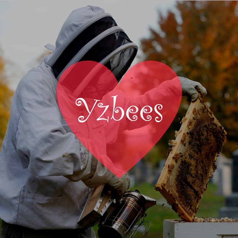 I'm a beekeeping. I LOVE MY JOB
📩 yzbees@yahoo.com
©️ Credit photos/videos by yzbees