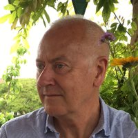 steve taylor (@digiogi) 's Twitter Profile