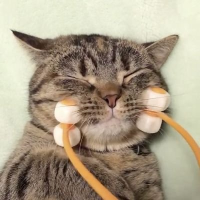 comicmelancholy's profile picture. smoosh