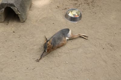 チモシーさんのプロフィール画像
