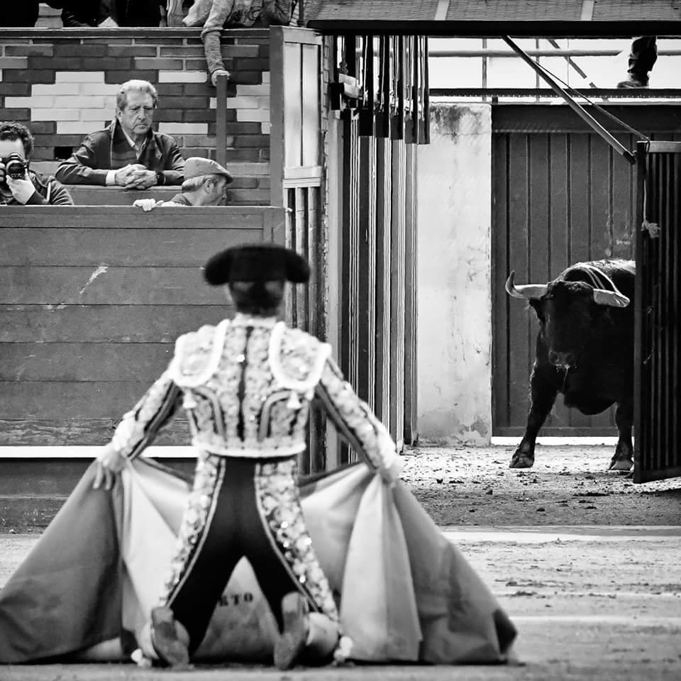 pau4idif's profile picture. 