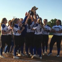 DHS Softball (@eaglesoftball18) 's Twitter Profile