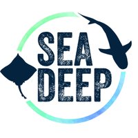 Sea Deep (@seadeepni) 's Twitter Profile Photo Sea Deep (@seadeepni) 's Twitter Profile Photo
