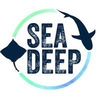 Sea Deep(@seadeepni) 's Twitter Profile Photo