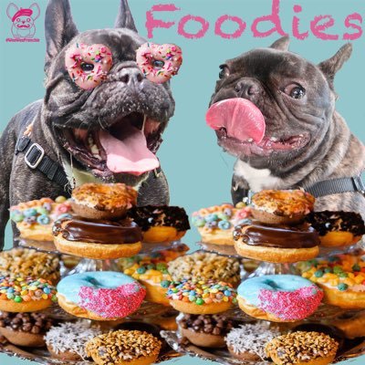 Frenchie and food motivated.  https://t.co/NsiJvEh84m