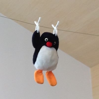 39506ek1nd's profile picture. まは幻のま