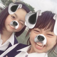 もも犬 (@mmo_dog) 's Twitter Profile