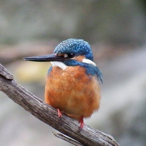 yyatsuo's profile picture. 組込ソフト屋/オートモーティブサイバーセキュリティエンジニア/引きこもり系トライアスリート/タイヤのついてるものと珈琲が好き