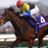 Horse Man YUDAI