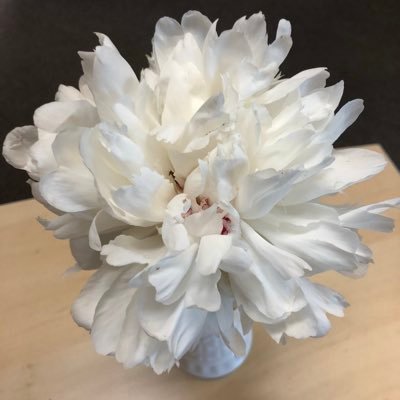 amyteall's profile picture. 